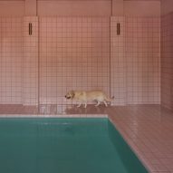 Kelly Wearstler designs luxurious pet hospital to "break away from sterile"